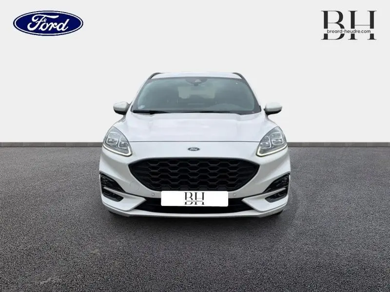 Vue frontale d'un Ford Kuga 2023 blanc Premium Platinum avec calandre noire et phares LED distinctifs.