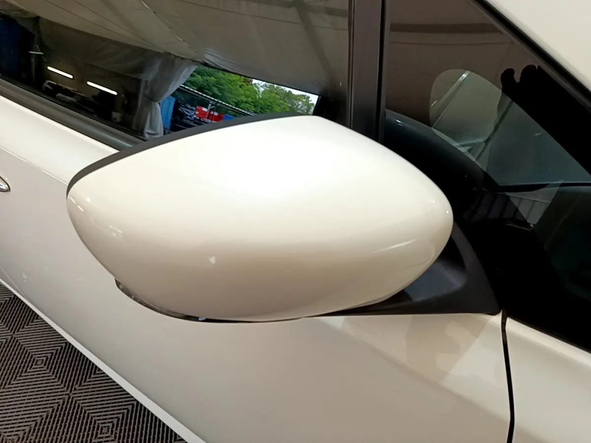 Rétroviseur côté gauche blanc de la Nissan LEAF 62 kWh 217ch Business+ 2020, vue rapprochée sur porte et vitre.