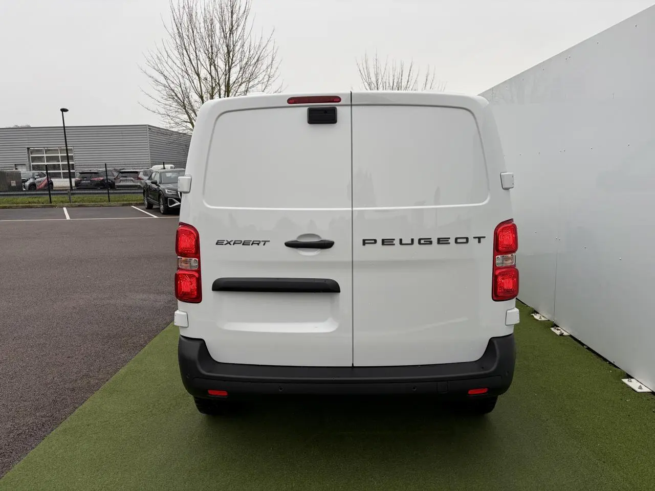 Vue arrière du Peugeot Expert Fourgon blanc Icy avec portes battantes tôlées et feux rouges verticaux.