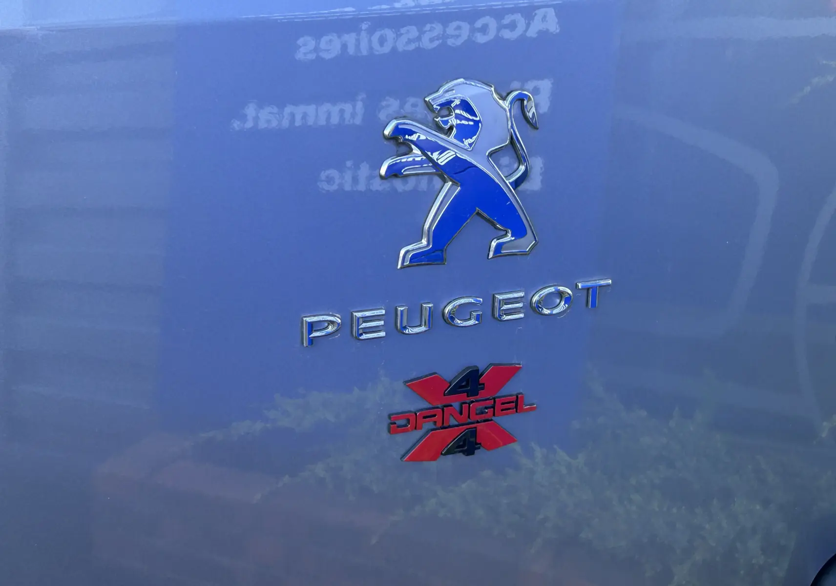 Gros plan sur l'arrière gris Artense du Peugeot Partner avec logo lion bleu et badge rouge Dangel 4x4.