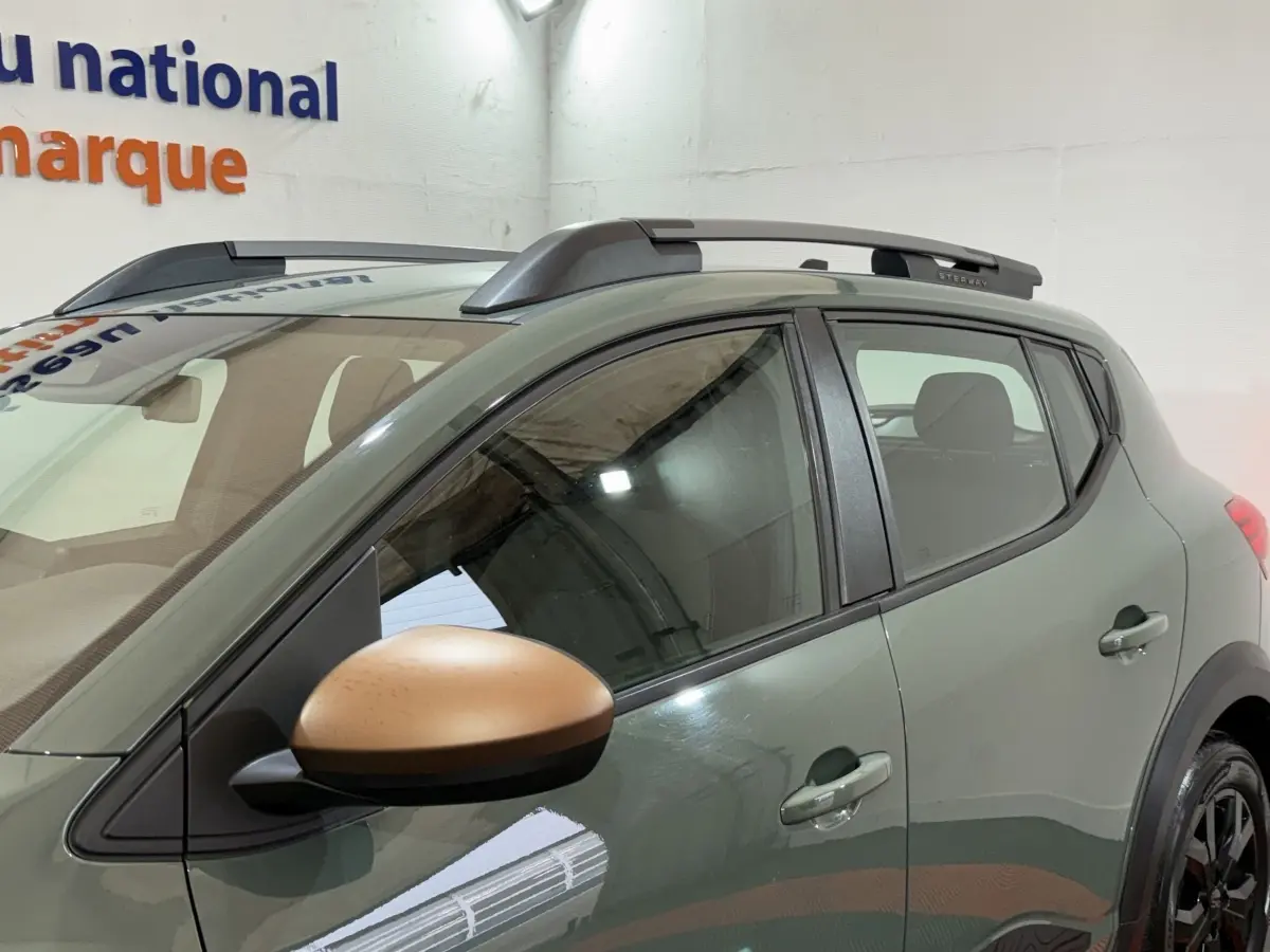 Vue latérale gauche d'une Dacia Sandero Extreme+ 2024 verte avec rétroviseur couleur bronze et barres de toit grises.