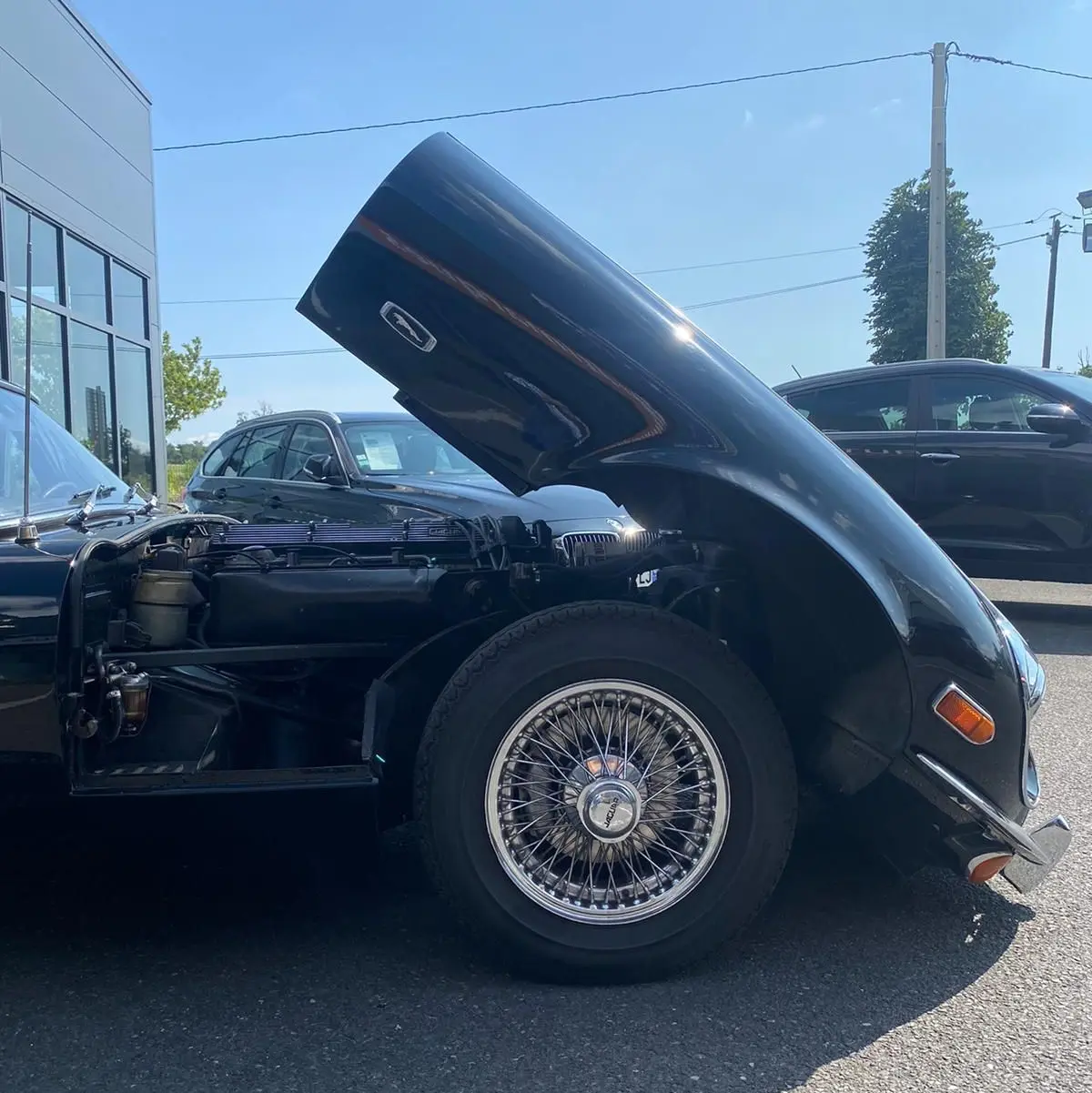 Vue latérale gauche d'une Jaguar S-Type noire de 1970 avec capot avant relevé et roue à rayons visible.
