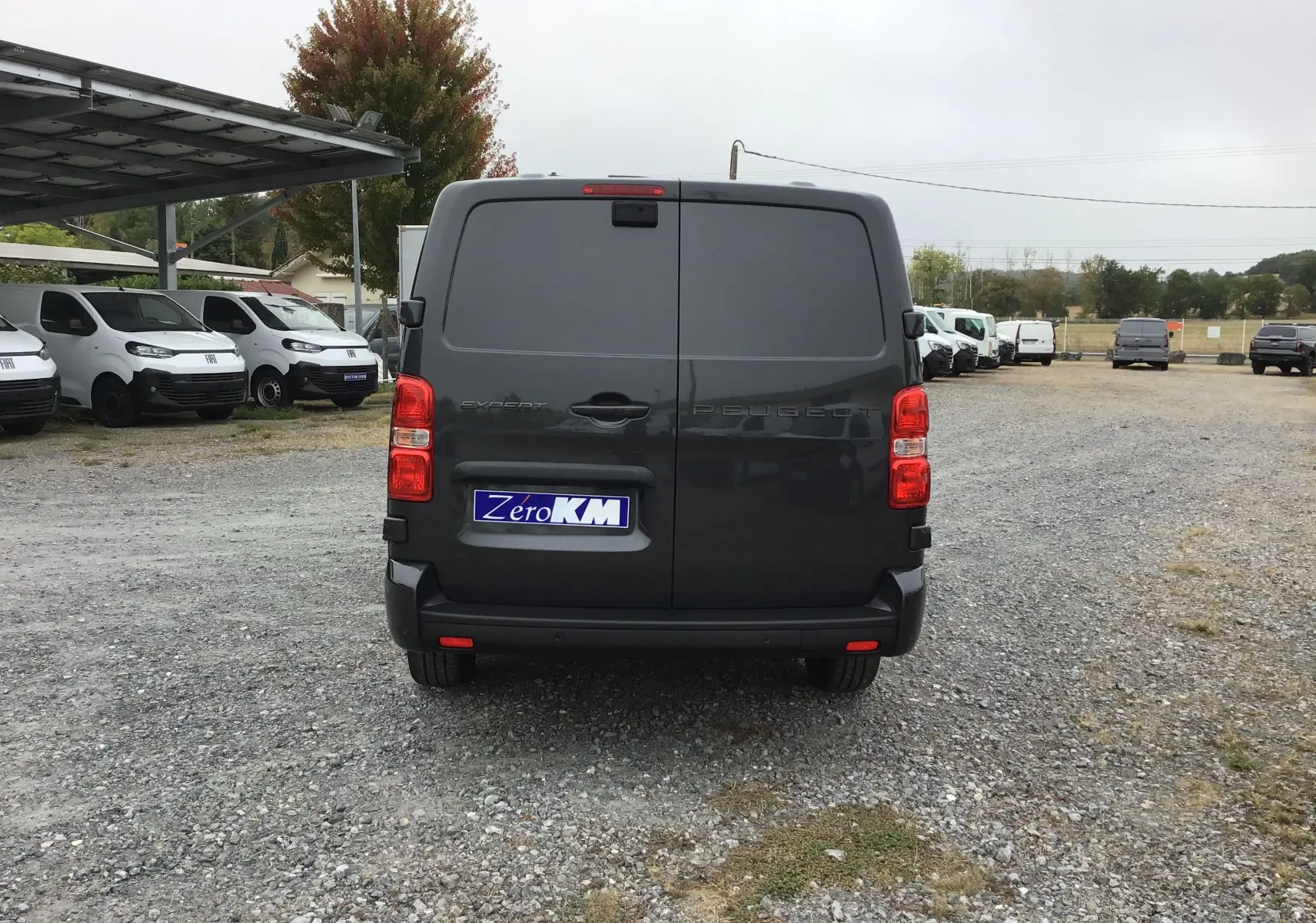 Vue arrière d’un Peugeot Expert cabine approfondie gris titane, avec portes battantes et feux arrière rouges visibles.