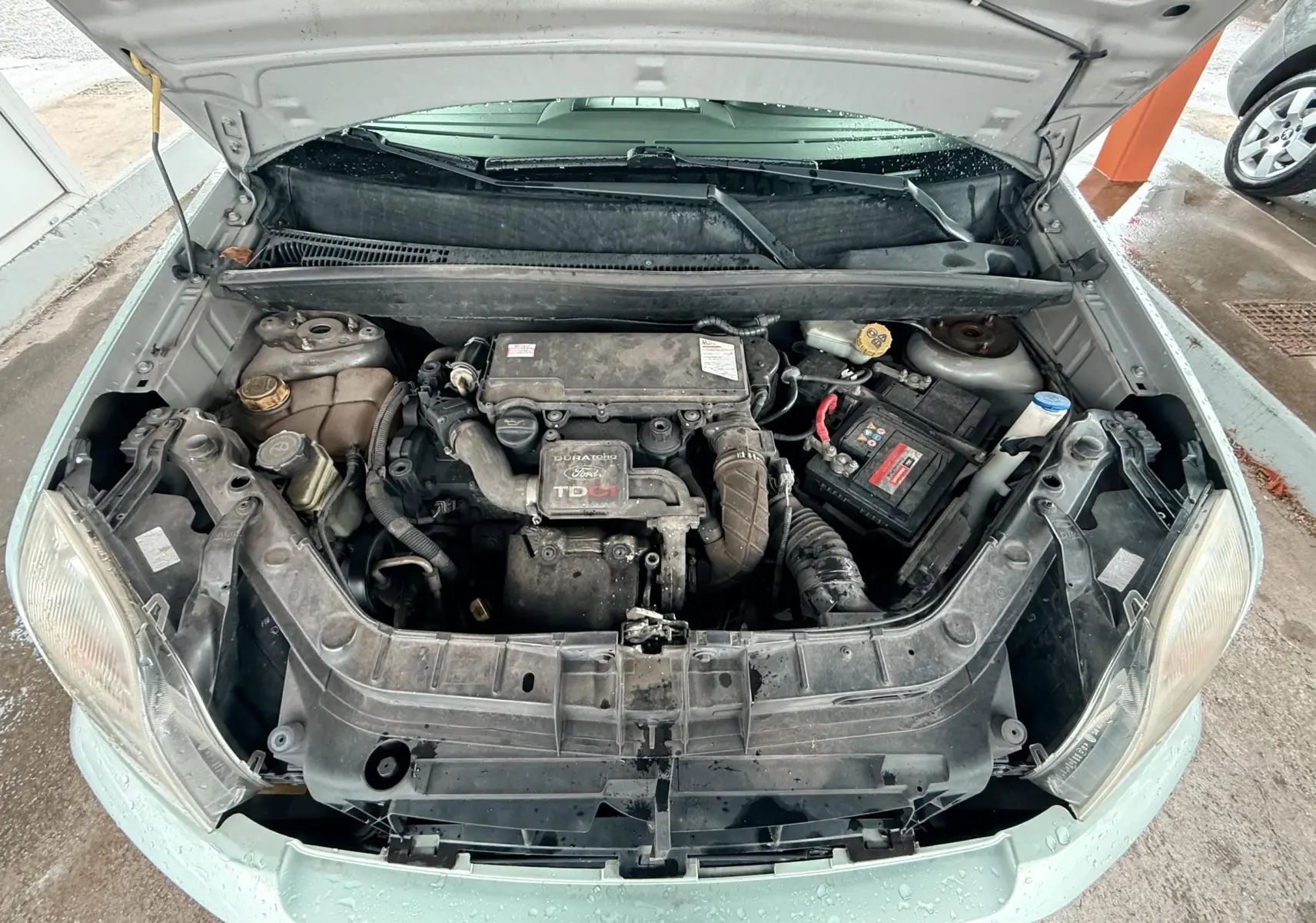 Moteur TDCI visible sous le capot ouvert d'une Ford Fusion bleu clair, vue de face en plan rapproché.