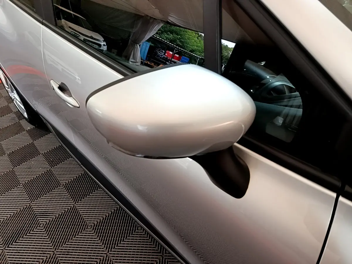 Rétroviseur côté gauche gris clair de Renault Clio Business TCe 90 2019, vue rapprochée sur la portière et la vitre.