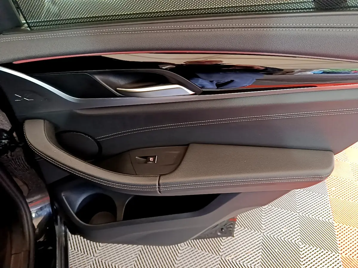 Vue intérieure côté gauche de la porte noire du BMW X3 xDrive20d 2019 avec garniture cuir et poignée argentée.
