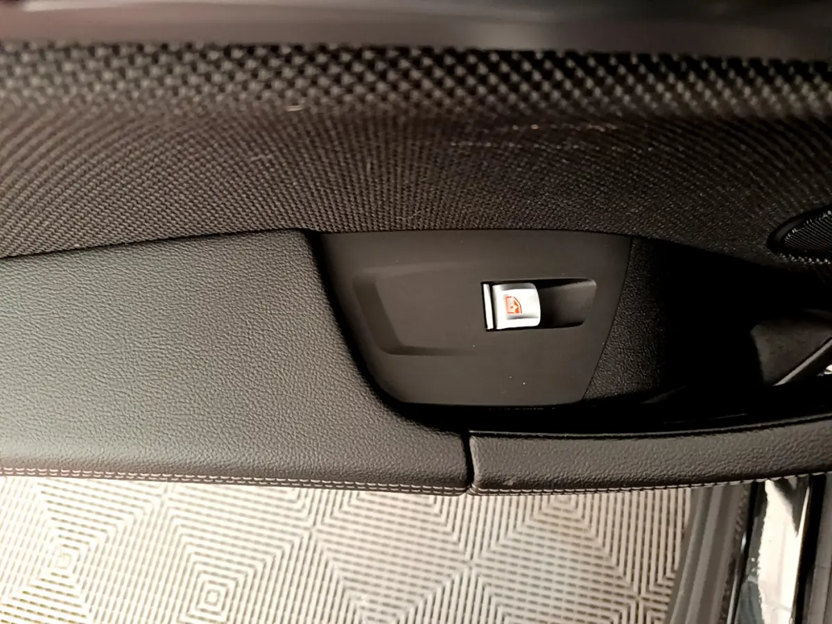 Détail de la poignée intérieure noire côté conducteur du BMW X3 xDrive20d 2020 avec bouton de verrouillage centralisé.