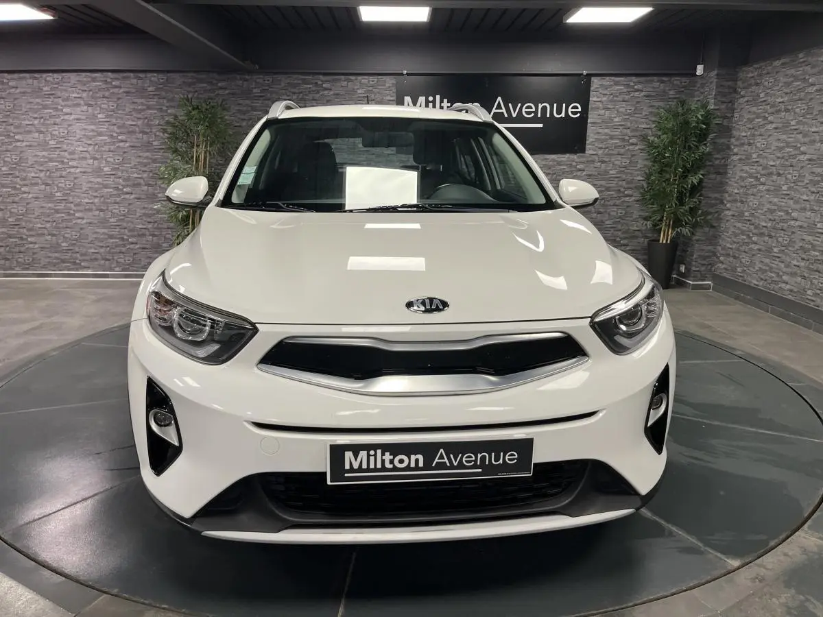 Vue avant d'un KIA STONIC blanc 2019 avec calandre noire laquée et plaque Milton Avenue en intérieur showroom.