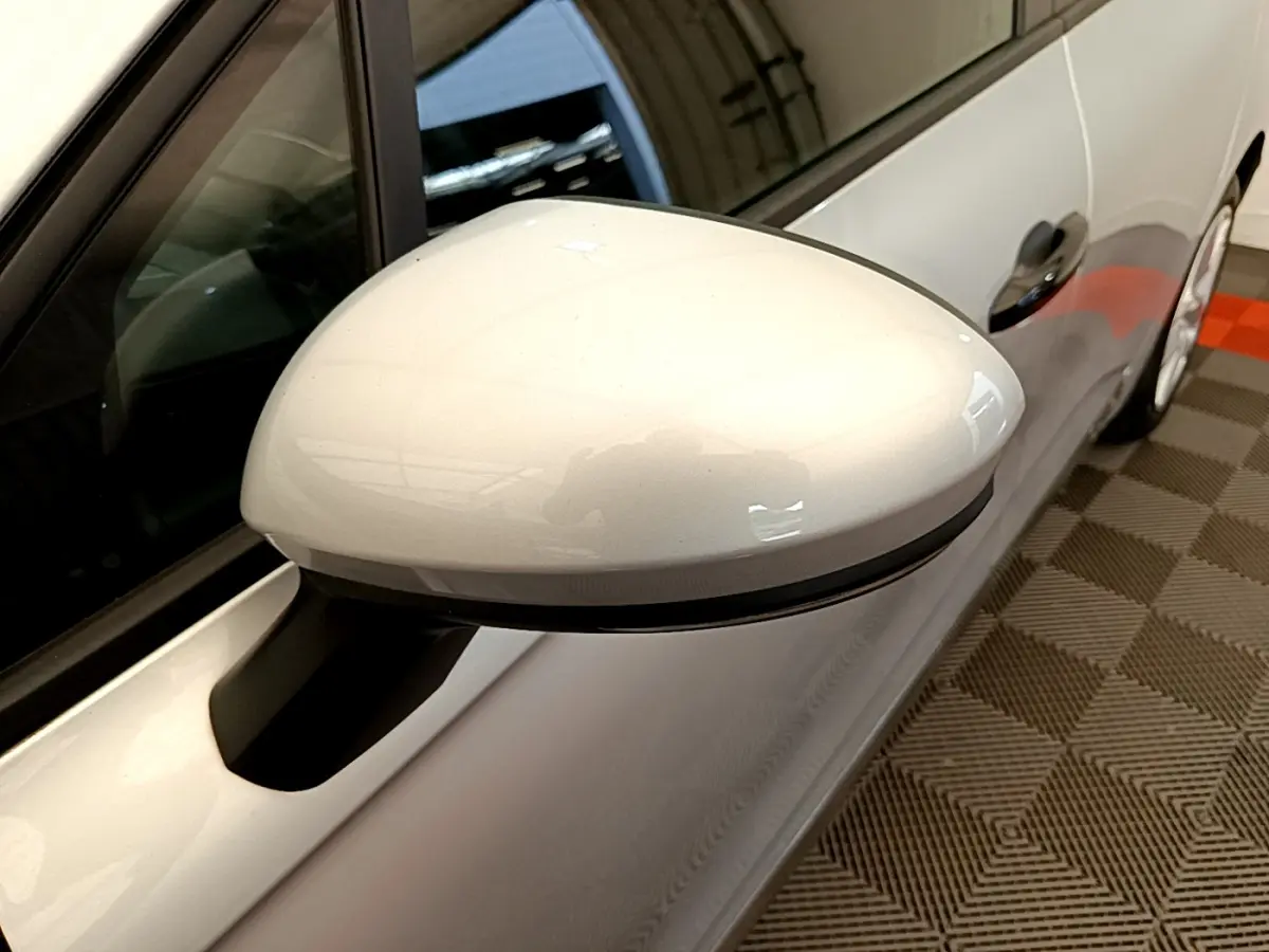 Rétroviseur côté gauche gris clair de la Renault Clio Business TCe 100 2020 avec carrosserie visible en arrière-plan.