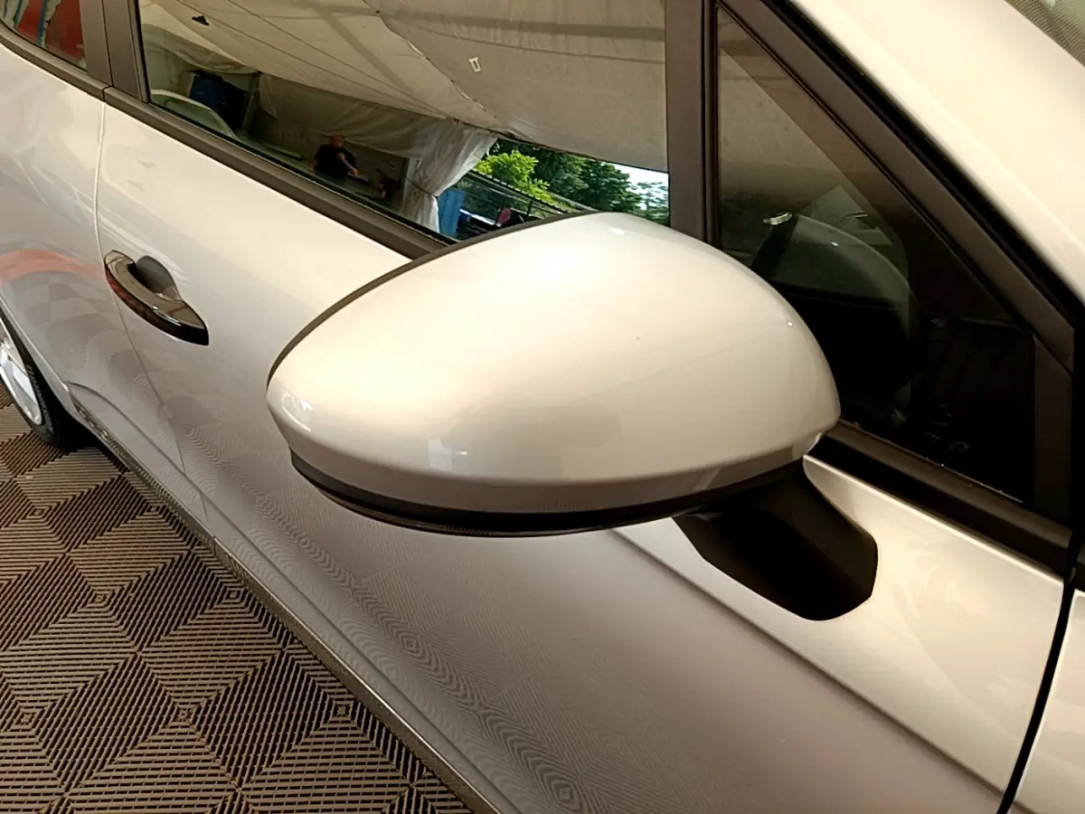 Rétroviseur côté gauche gris clair de la Renault Clio Business TCe 100 2020 avec poignée de porte visible.