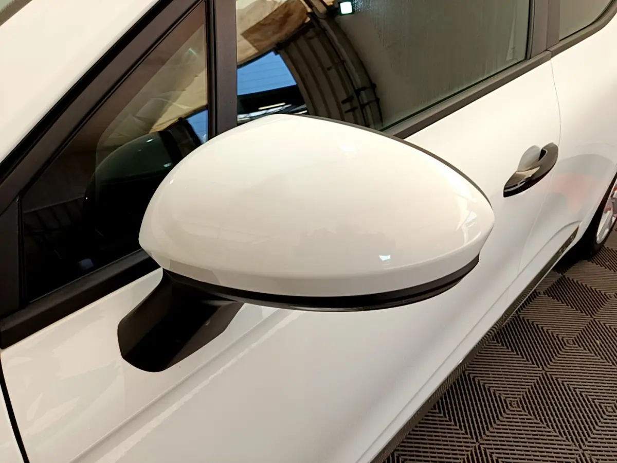 Rétroviseur blanc côté gauche de la Renault Clio Business 2021, vue rapprochée sur la portière et poignée.