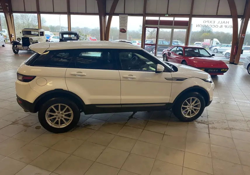 Profil côté gauche d'un Range Rover Evoque blanc 2016 dans un showroom avec plusieurs voitures anciennes en arrière-plan.
