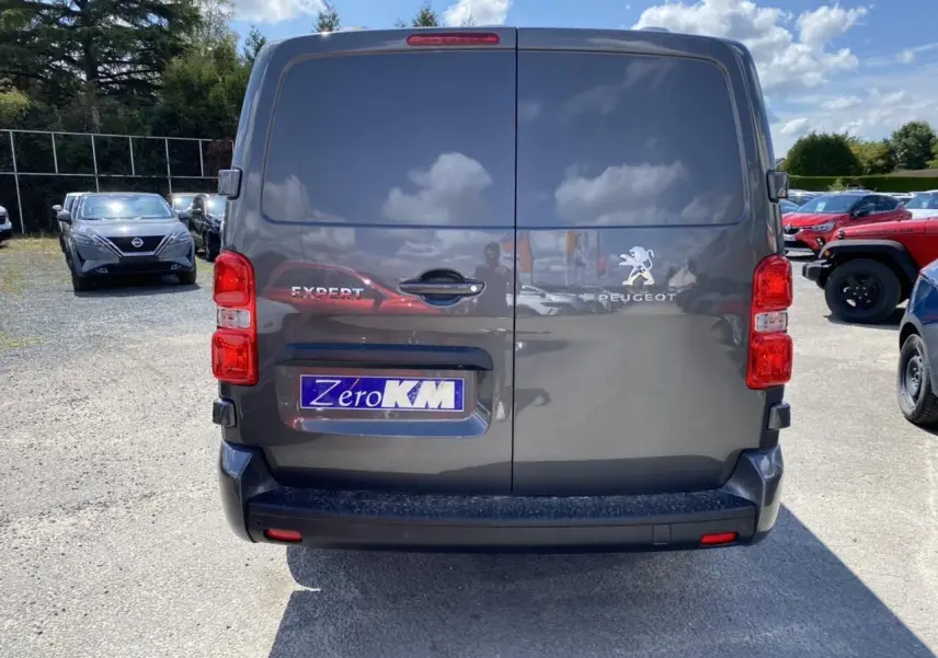 Vue arrière d'un Peugeot Expert Fourgon gris platinium avec portes battantes et logo visible au centre.