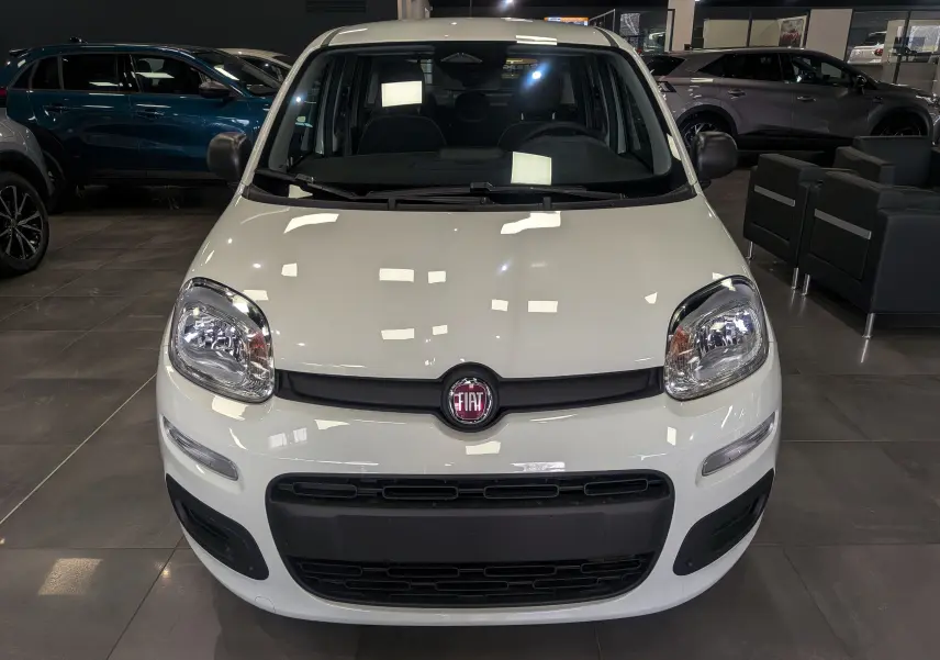 Vue frontale d'une FIAT Panda 1.0 70 CH Hybrid City blanche Gelato en showroom avec calandre noire et phares arrondis.