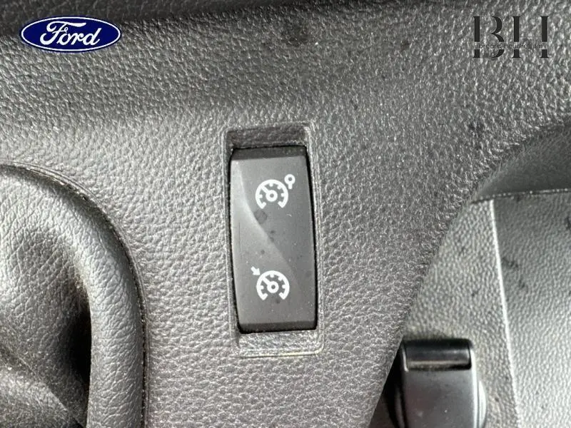 Gros plan sur le bouton de régulateur de vitesse sur le tableau de bord noir du Renault Master blanc minéral.