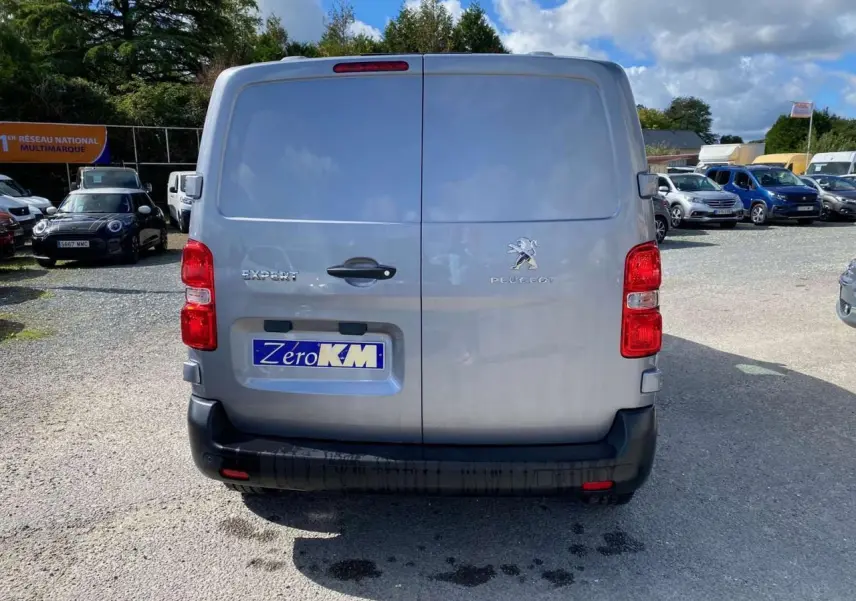 Vue arrière d'un Peugeot Expert Fourgon gris Artense métallisé avec portes battantes tôlées et logo visible.