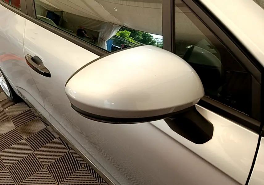 Rétroviseur côté gauche gris clair de la Renault Clio Business TCe 100 2020 avec poignée de porte visible.