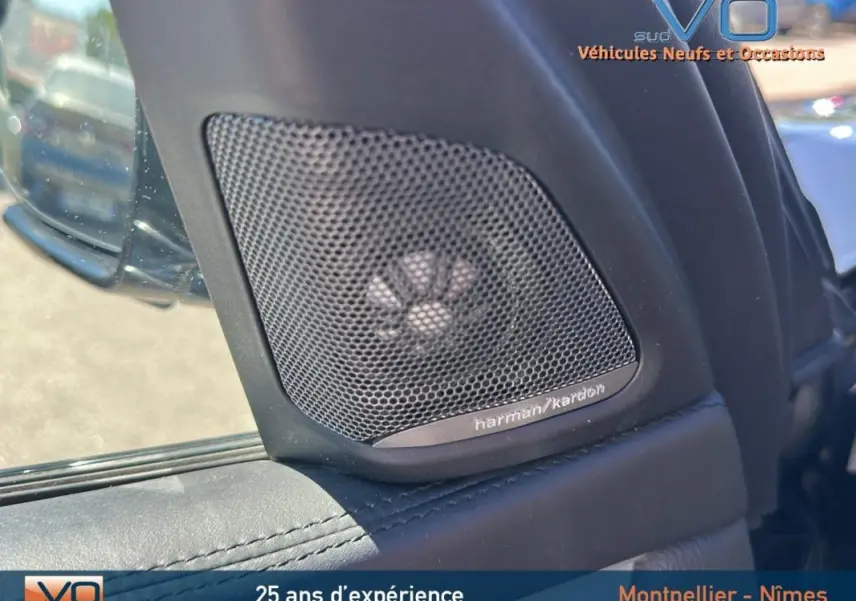 Gros plan sur l'enceinte Harman/Kardon intégrée dans la porte côté gauche d'un BMW X6 noir F16 2017.