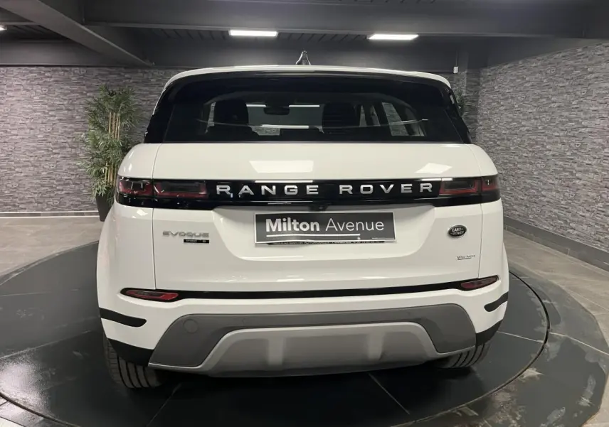Vue arrière d'un Range Rover Evoque blanc 2020 avec logo et feux arrière étirés en intérieur showroom.