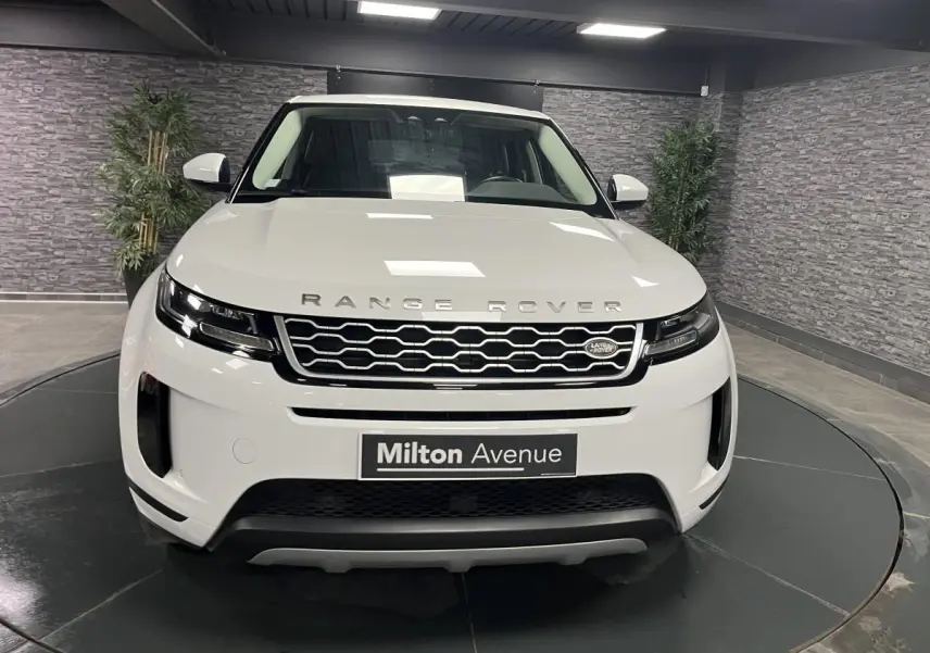 Vue frontale d'un Range Rover Evoque blanc avec calandre hexagonale et logo Land Rover visible en intérieur showroom.